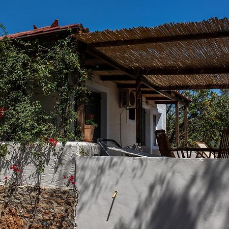 Sun&Sea Villas - Sea Vingláfia Dış mekan fotoğraf